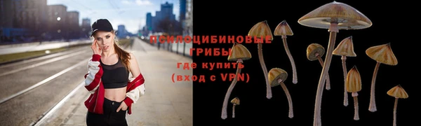 гидра Осинники