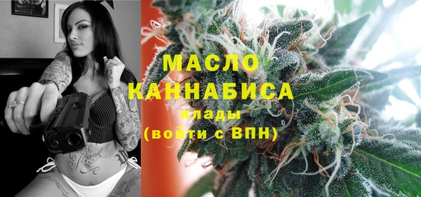 гидра Осинники