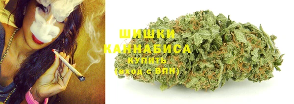 гидра Осинники
